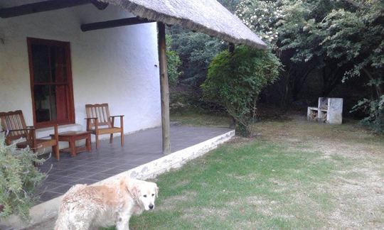 Loerie Cottage at Bubuhle