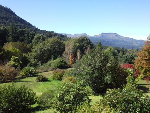 Corrieghlas Cottages - The View