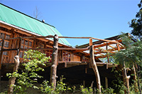 Gracchus Cottage