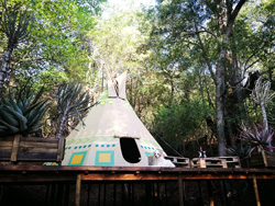 A Hog's Life Accommodation