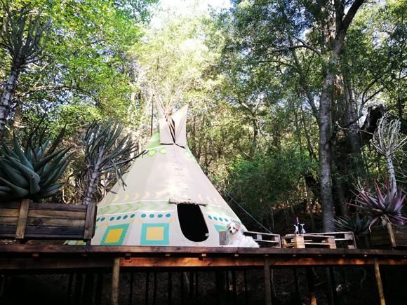 A Hog's Life Accommodation