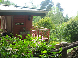 Maple Grove Cabin