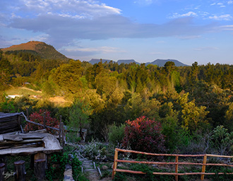 Wild Fox Hill Cabin - View