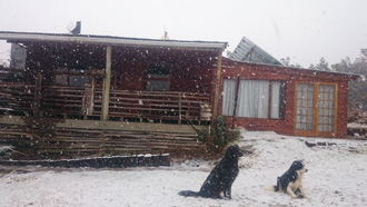 Wild Fox Hill Cabin is pet friendly