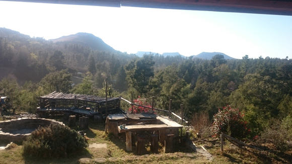 Wild Fox Hill Cabin - View from the deck