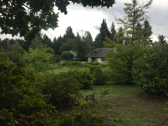 Windrush on Hogsback