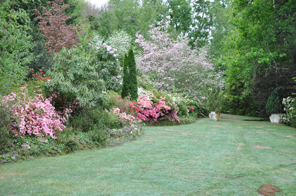 Applegarth Gardens and Nursery