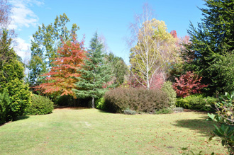 Applegarth Gardens and Nursery