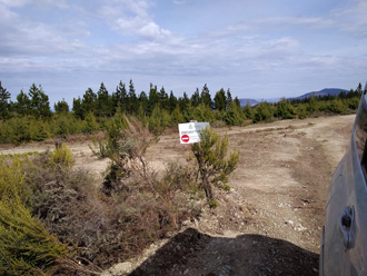 Hogsback 4X4