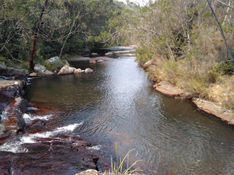 Hogsback 4X4