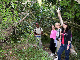 Hogsback Adventures