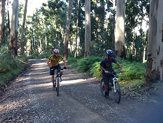 Hogsback Adventures